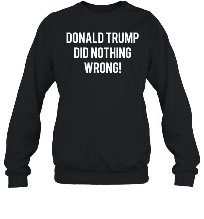 Donald Trump Did Nothing Wrong Hoodie