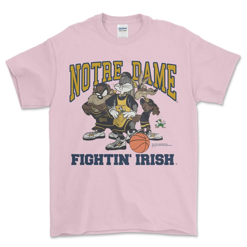 1994 Notre Dame Fightin' Irish Looney Tunes T-Shirt, graphic vintage sports tees for men