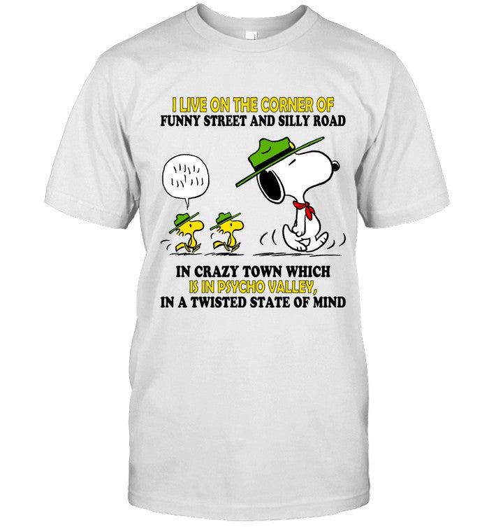 I LIVE ON THE CORNER OF FUNNY STREET AND SILLY ROAD IN CRAZY TOWN WHICH IS IN PSYCHO VALLEY, IN A TW