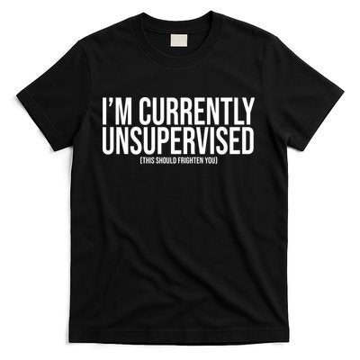 Im Currently Unsupervised This Should Frighten You Funny T-Shirt
