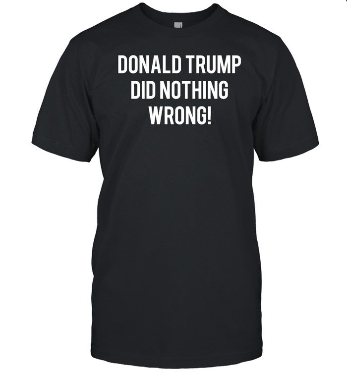 Donald Trump Did Nothing Wrong Hoodie