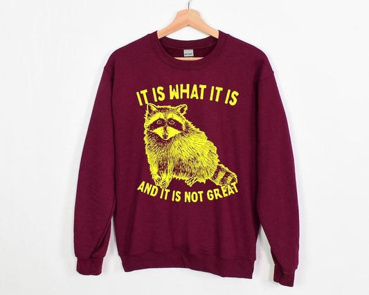 It Is What It Is And It Is Not Great Sweatshirt, Raccoon Sweatshirt, Meme| Funny Meme Hoodie and Sweater; T-shirt Cotton Menswear Cotton Menswear