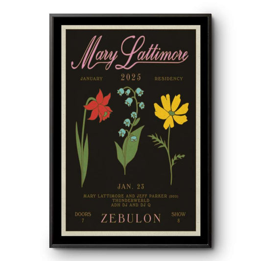 Poster Mary Lattimore January 23 2025 Los Angeles CA