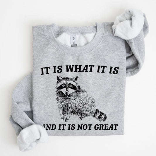 It Is What It Is And It Is Not Great, Raccoon, Trash Panda, Funny, Meme, Sweatshirt