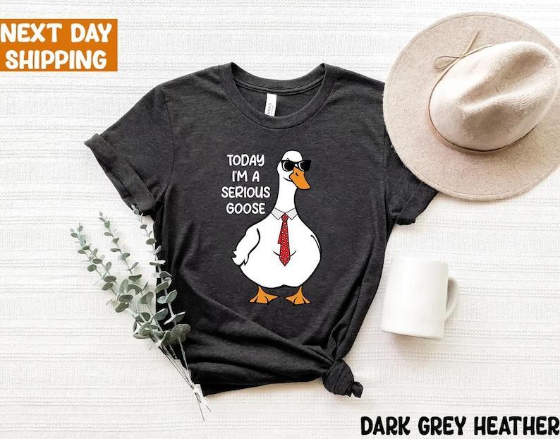 Today I'm A Serious Goose Sweatshirt, Silly Goose Sweatshirt, Funny Men's Women's Sweater, Trendy College Hoodie Classic Crewneck, Full Sizes, Full Co