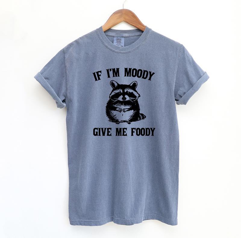 If I'm Moody Give Me Foody Funny Shirt, Funny Raccoon Comfort Colors Shirt