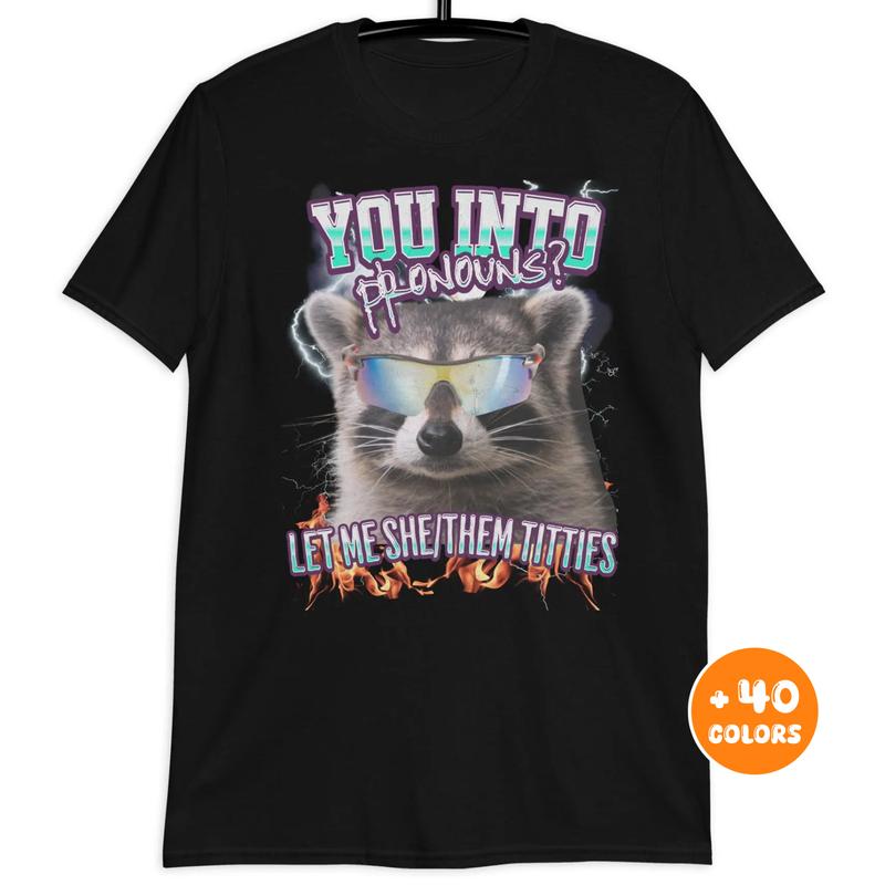 Stylish Pronouns Shirt, Funny Raccoon Tee, Inappropriate Meme T-Shirt, Ironic Humor Shirt, Trending Gift for Best Friend, Gift for Him & Her funny  sw