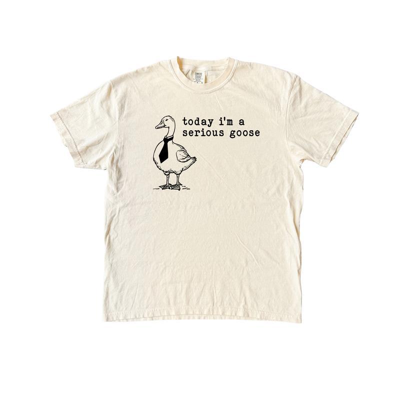 Serious Goose Funny Shirt, Meme Comfort Shirt Menswear T-Shirt, Casual material shirt, basic shirt,unisex bur shirt, Hip Hop Top, Summer Women's Top, Couple Shirt, Birthday Gift, Y2K Shirt, Designer Shirt for Men, B Shirt for Men Crewneck Menswear