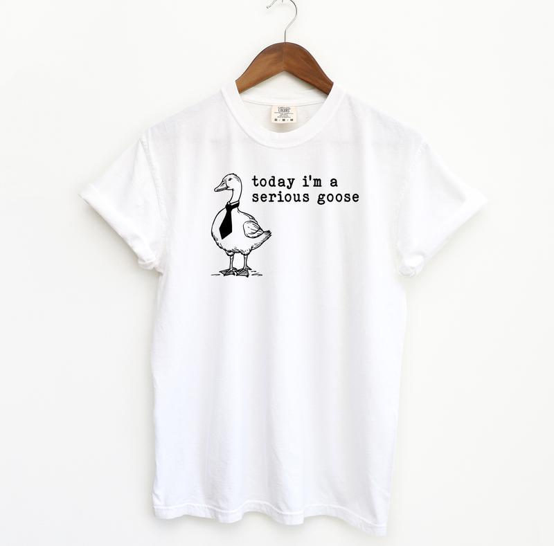Serious Goose Funny Shirt, Meme Comfort Shirt Menswear T-Shirt, Casual material shirt, basic shirt,unisex bur shirt, Hip Hop Top, Summer Women's Top, Couple Shirt, Birthday Gift, Y2K Shirt, Designer Shirt for Men, B Shirt for Men Crewneck Menswear