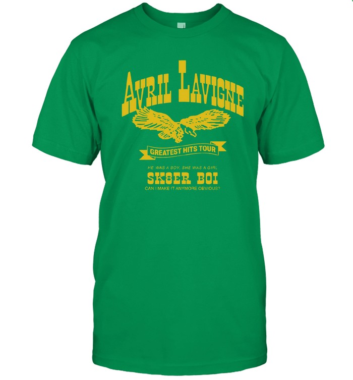 Avril Lavigne Tour Sk8er Boi Shirt