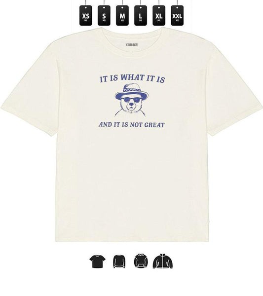 It Is What It Is And It Is Not Great Funny Tee, Sarcastic Unisex T-Shirt for Humor, Playful Gift Idea for Unique Tee Collectors