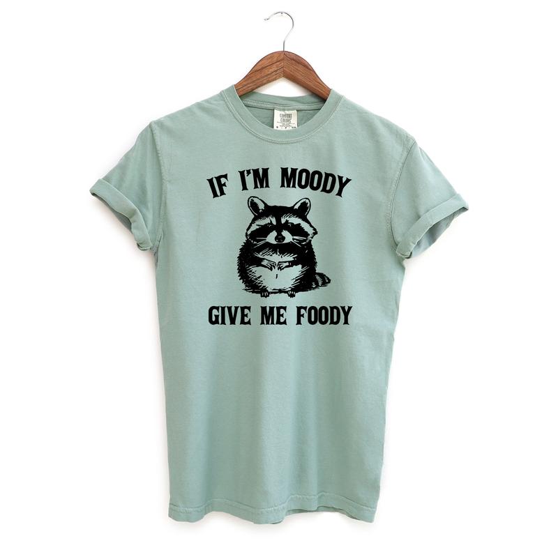 If I'm Moody Give Me Foody Funny Shirt, Funny Raccoon Comfort Colors Shirt
