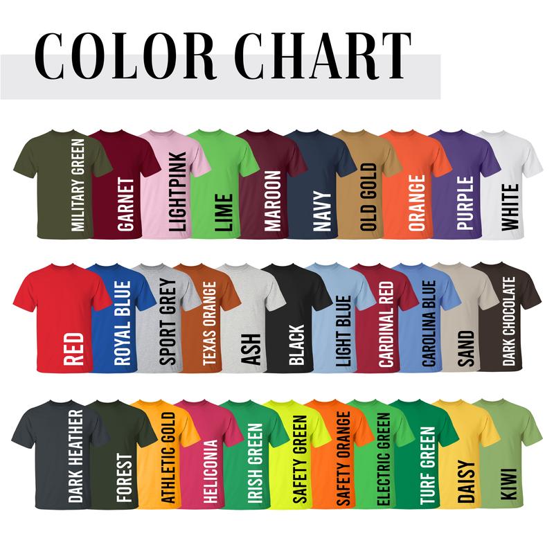 Retro Elliot Stabler And Olivia Benson Shirt, 90s Movie Tshirt, Law And Order Svu Tee, Unisex T-Shirt, Short Sleeve Tee Shirt, Top