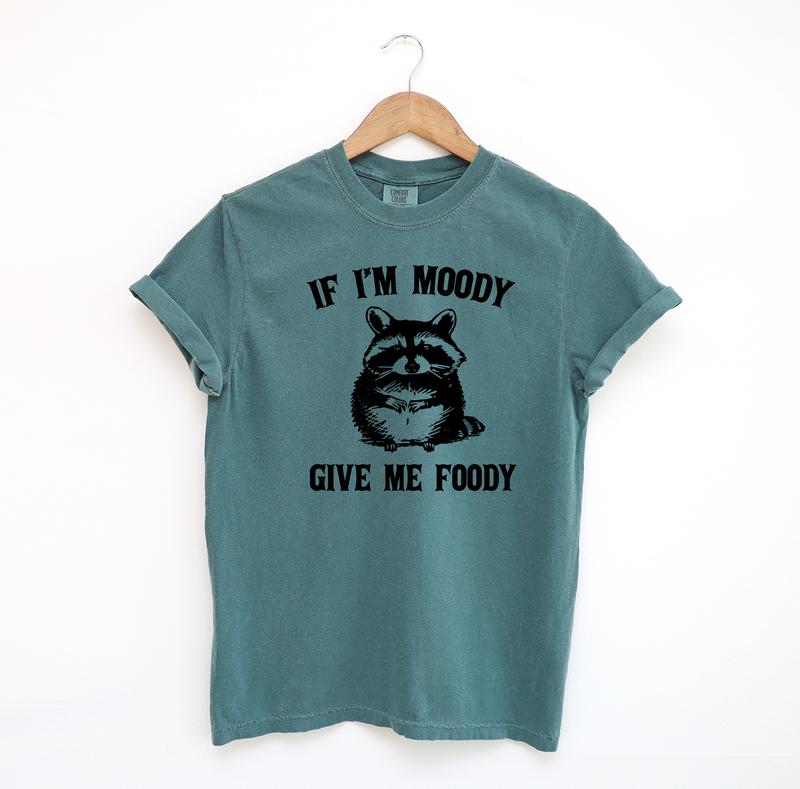 If I'm Moody Give Me Foody Funny Shirt, Funny Raccoon Comfort Colors Shirt