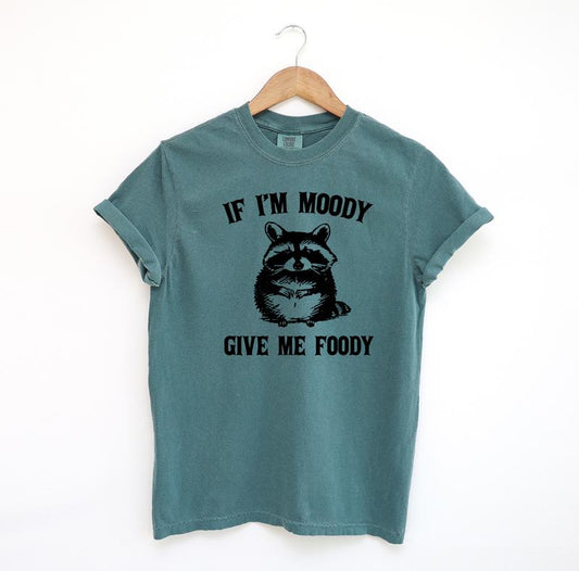 If I'm Moody Give Me Foody Funny Shirt, Funny Raccoon Comfort Colors Shirt