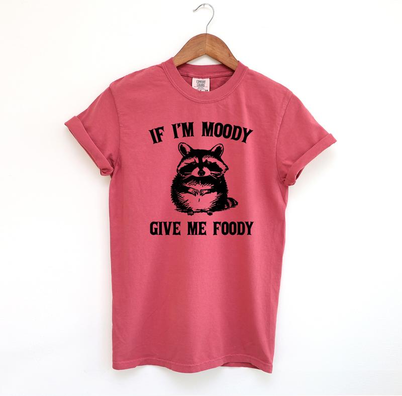 If I'm Moody Give Me Foody Funny Shirt, Funny Raccoon Comfort Colors Shirt