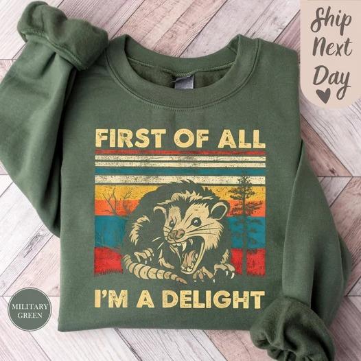First Of All I'm A Delight Sweatshirt, Angry Possum Sweatshirt, Sarcastic Sweatshirt, Possum Lover Gift, Funny Animal Sweat, Meme Sweatshirt