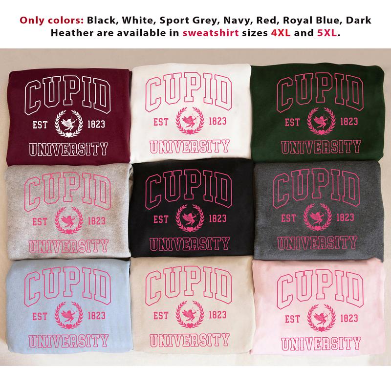 Cupid University Sweatshirt, Cute Valentine's Day Shirt, Funny College Sweatshirt, Love Crewneck Sweatshirt, Cupid Sweater