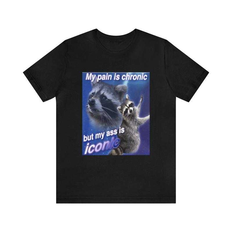 My Pain Is Chronic Funny Meme Shirt - Parody Tees Gift Funny Meme Tee Raccoon Humor Quirky and Unique Apparel