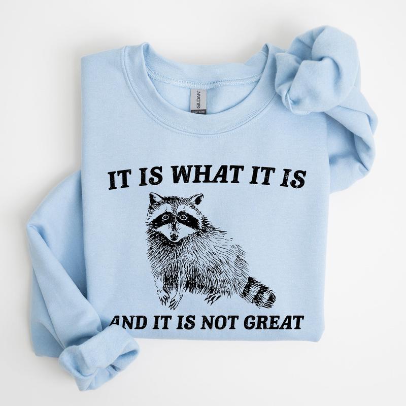 It Is What It Is And It Is Not Great, Raccoon, Trash Panda, Funny, Meme, Sweatshirt