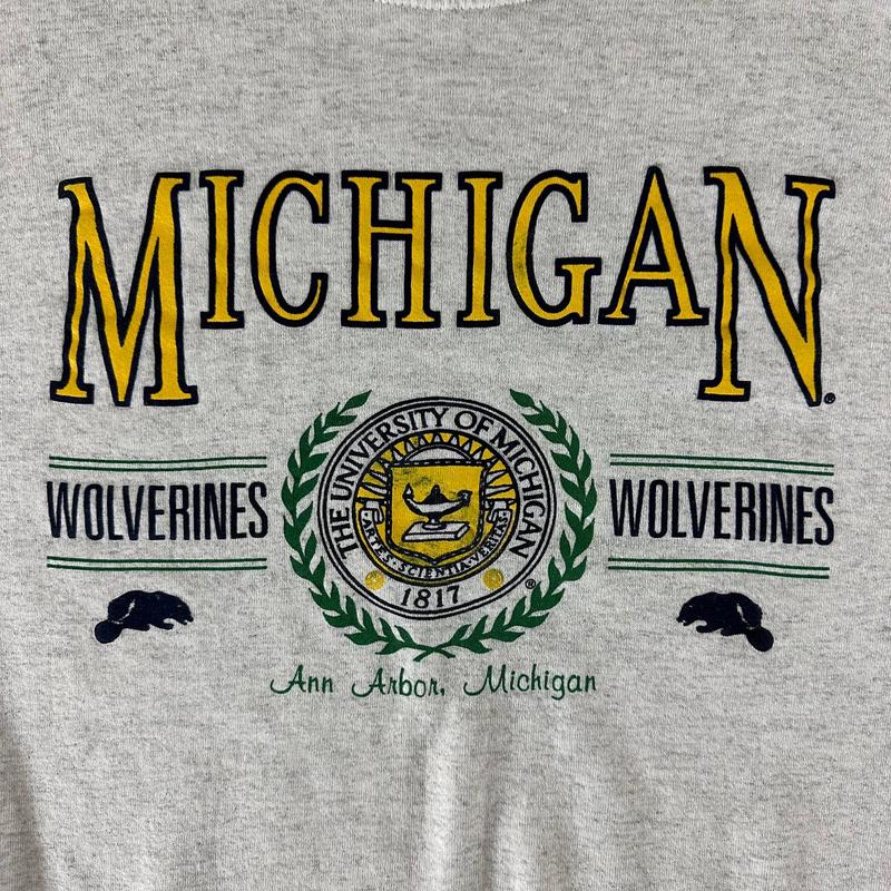 Vintage 1990s University of Michigan Unisex t-shirt, sweatshirt, hoodie Cotton Menswear