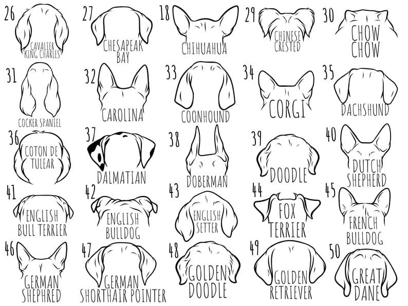 Custom Dog Mama Sweatshirt, Personalized Dog Sweatshirt with Name, Custom Dog Name Sweatshirt, Dog Dad Gift, Custom Pet Gift, Pet Name Shirt