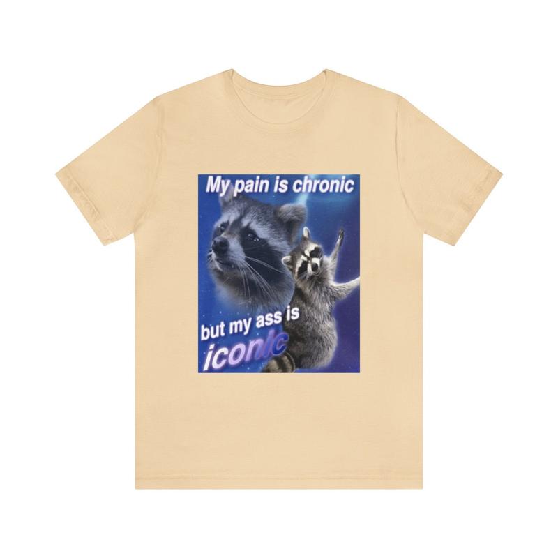 My Pain Is Chronic Funny Meme Shirt - Parody Tees Gift Funny Meme Tee Raccoon Humor Quirky and Unique Apparel