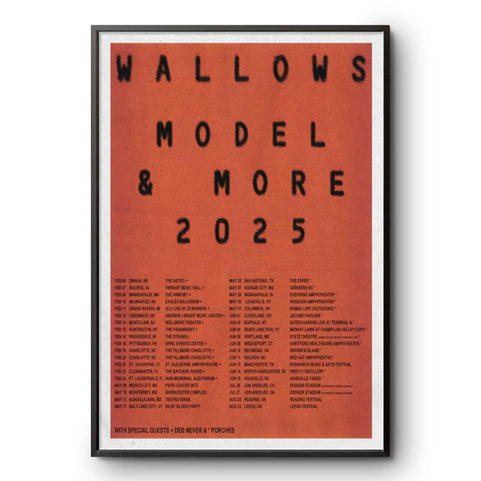Model & More Tour 2025 in North America Wallows Poster