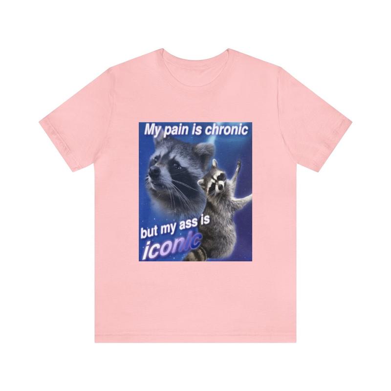 My Pain Is Chronic Funny Meme Shirt - Parody Tees Gift Funny Meme Tee Raccoon Humor Quirky and Unique Apparel