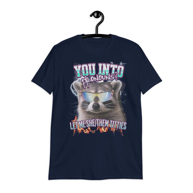 Stylish Pronouns Shirt, Funny Raccoon Tee, Inappropriate Meme T-Shirt, Ironic Humor Shirt, Trending Gift for Best Friend, Gift for Him & Her funny  sw