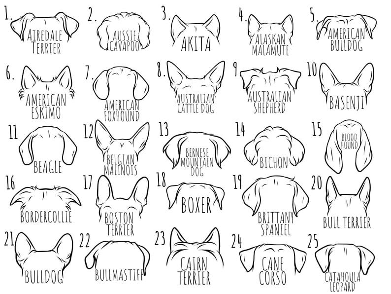 Custom Dog Mama Sweatshirt, Personalized Dog Sweatshirt with Name, Custom Dog Name Sweatshirt, Dog Dad Gift, Custom Pet Gift, Pet Name Shirt