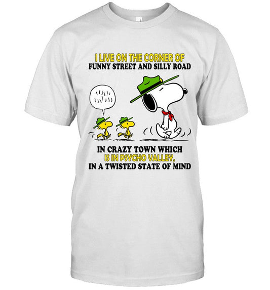 I LIVE ON THE CORNER OF FUNNY STREET AND SILLY ROAD IN CRAZY TOWN WHICH IS IN PSYCHO VALLEY, IN A TW