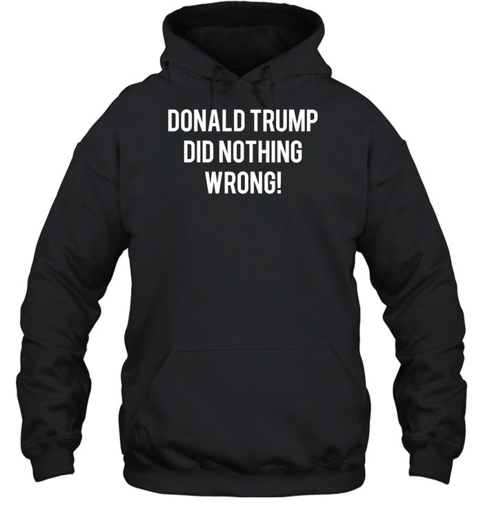 Donald Trump Did Nothing Wrong Hoodie