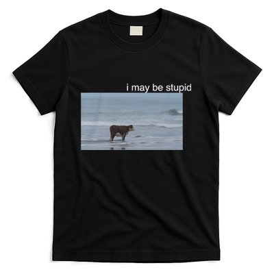 I May Be Stupid Cow On Beach Funny Meme T-Shirt