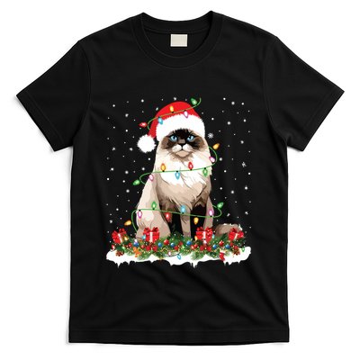 Ragdoll Cat Christmas Lights Xmas Holiday Cat Lover T-Shirt